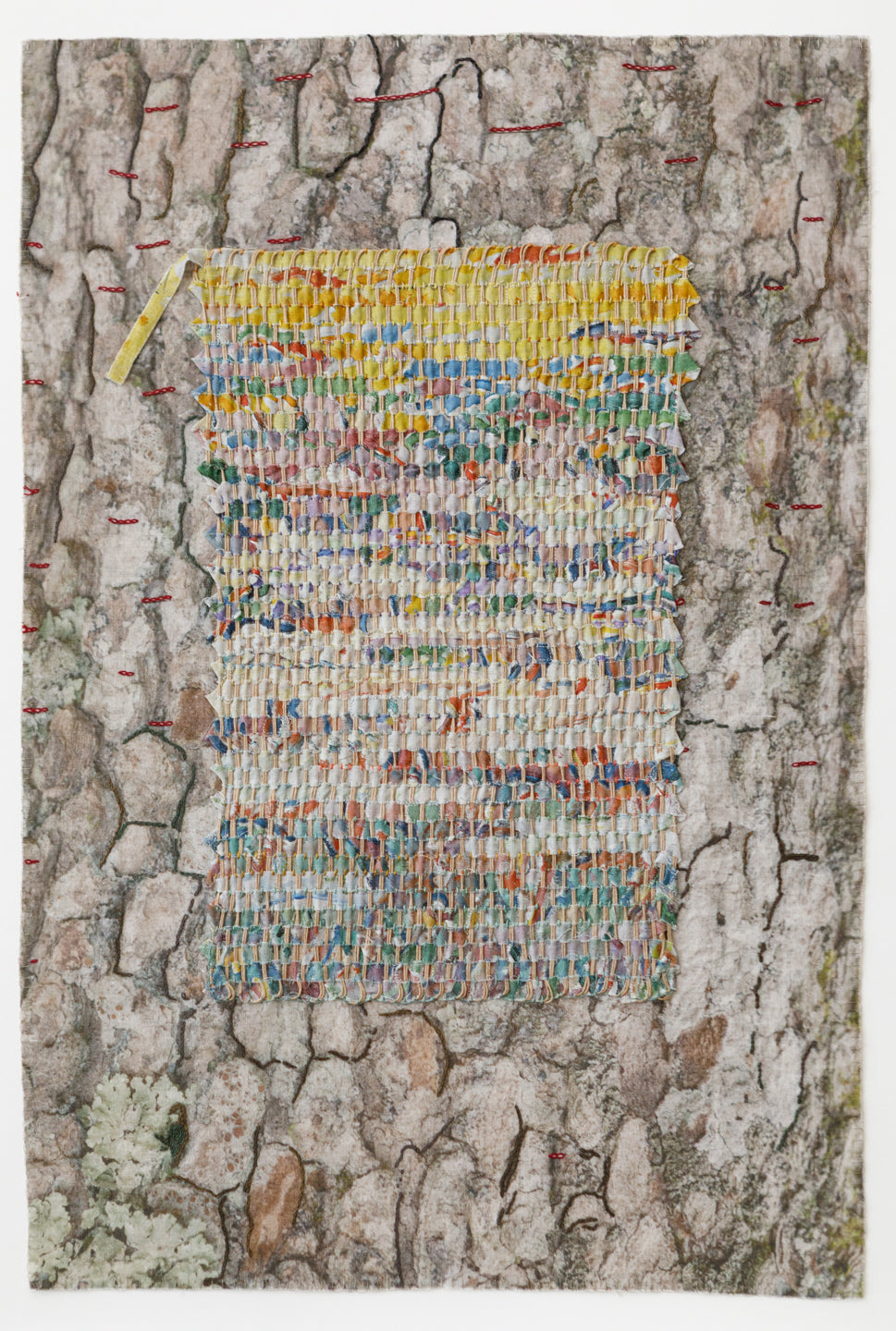 Braque/Bark - Laurie Lambrecht