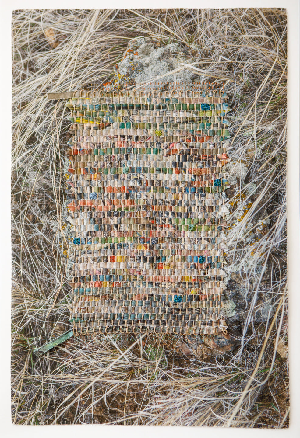 Landscape/Painting (de Kooning/High Desert) - Laurie Lambrecht