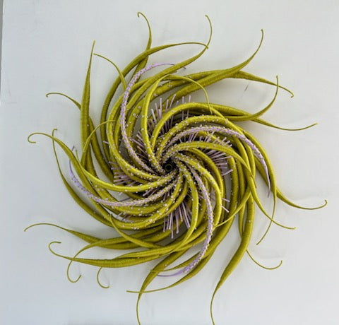 Specimen #38 by Catherine Latson