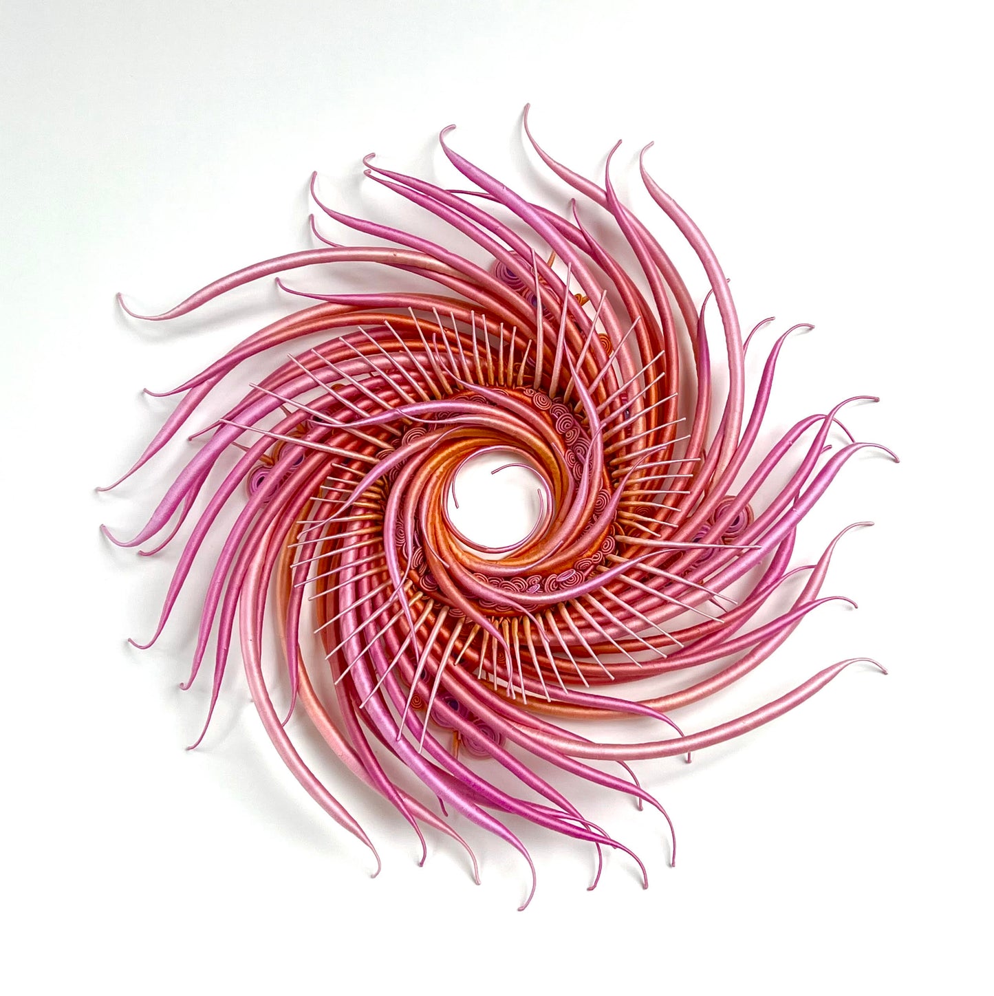 Specimen #33 by Catherine Latson