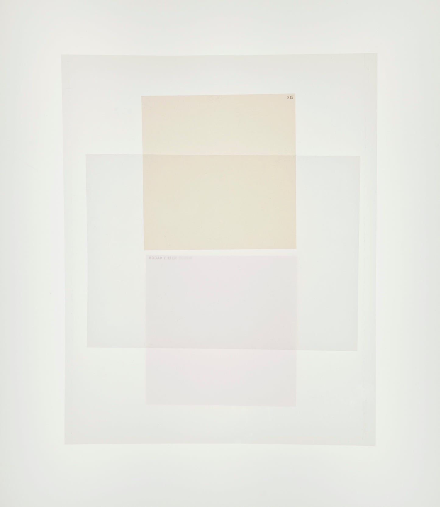 81B and Magenta - Mary Ellen Bartley