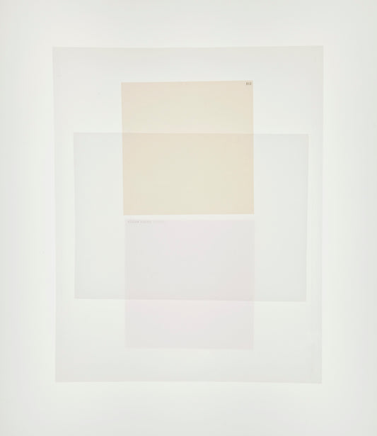 81B and Magenta - Mary Ellen Bartley