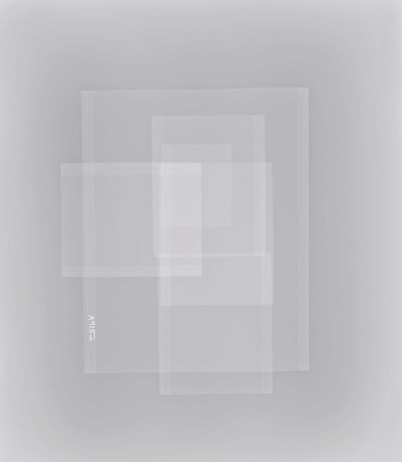 A9152 Inverted - Mary Ellen Bartley