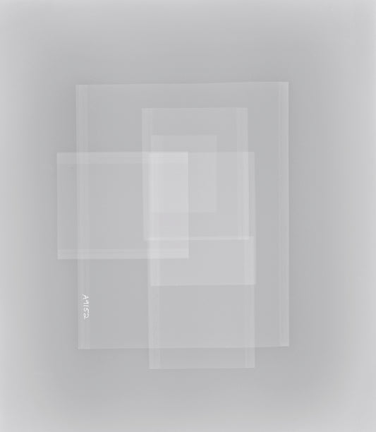 A9152 Inverted - Mary Ellen Bartley