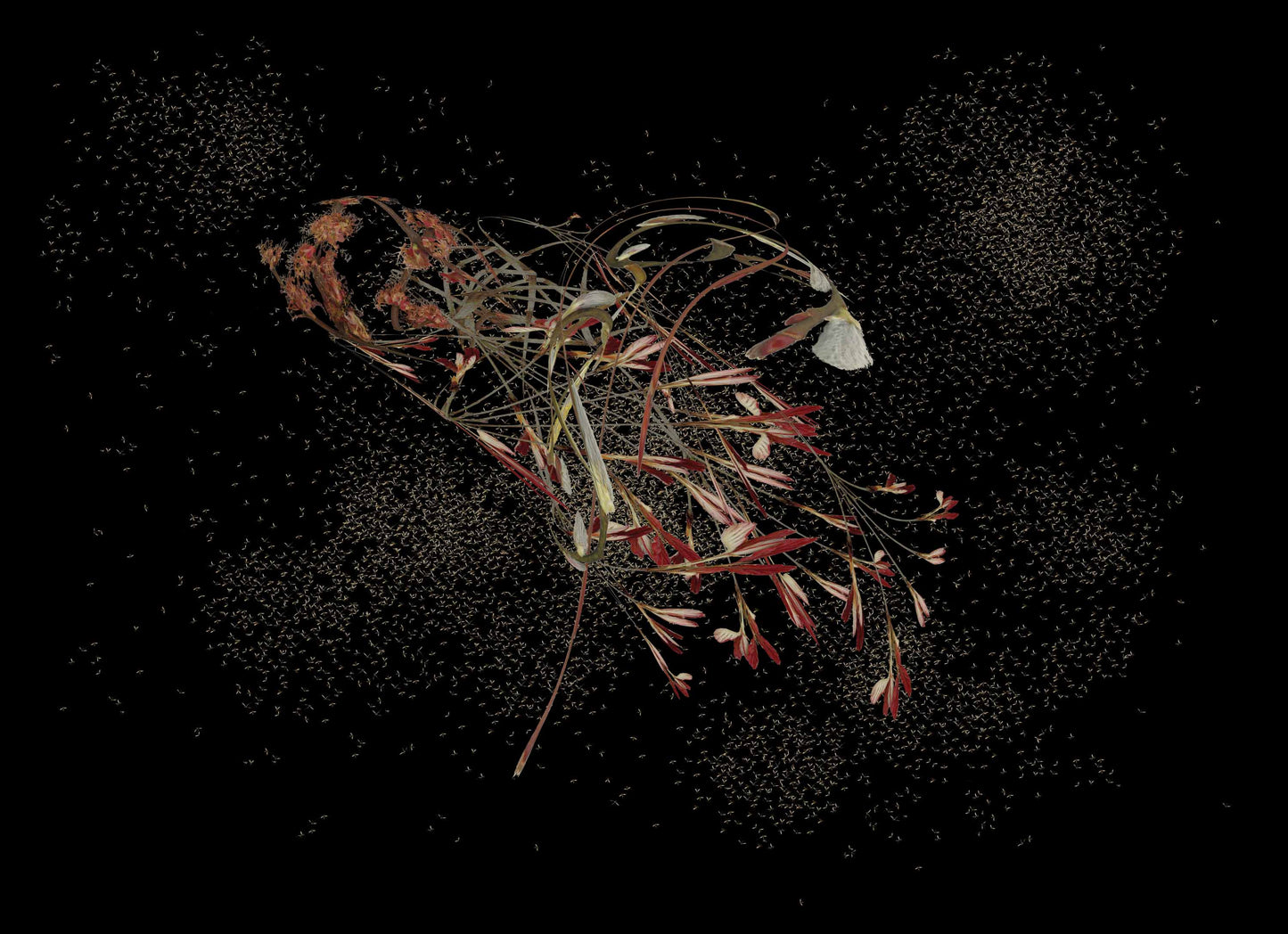 Bouquet of Pin Oak, Norwegian Maple and Pussy Willow with Mayflies - Robin du Plessis