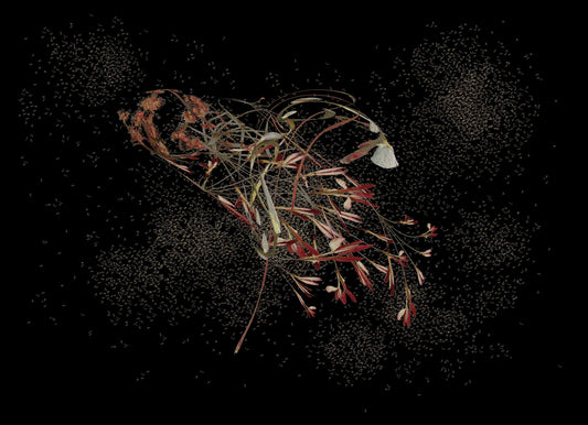 Bouquet of Pin Oak, Norwegian Maple and Pussy Willow with Mayflies - Robin du Plessis