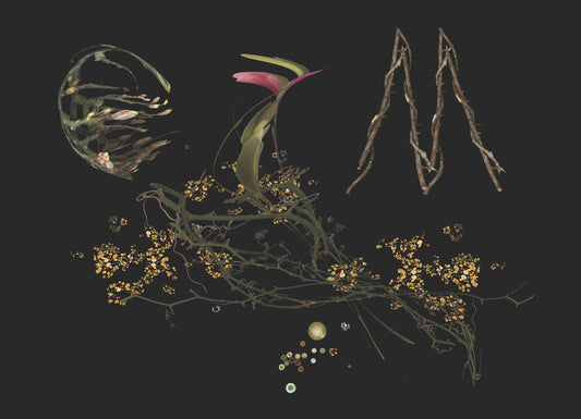 Bouquet of Tulip, Wild Rose and Maple with Bacteria - Robin du Plessis