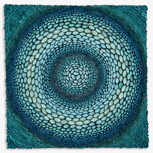 Color Circle 17 - Amy Genser