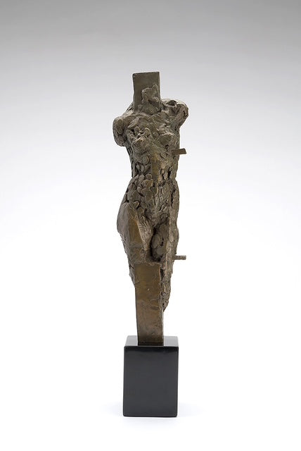 Torso on Armature - Dorian Goldman