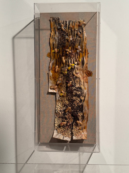 Beenuts - Judi Harvest