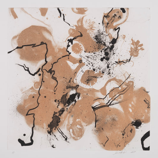 Permutations and Combinations 3 - Carol Hunt