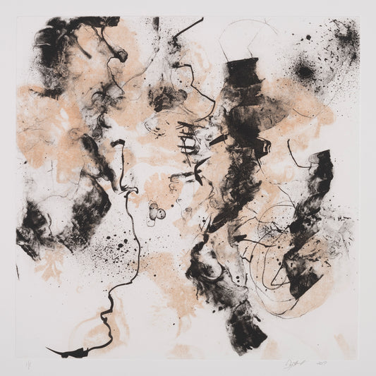 Permutations and Combinations 4 - Carol Hunt