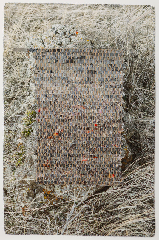 Landscape/Painting (Kiefer/Wyoming) - Laurie Lambrecht