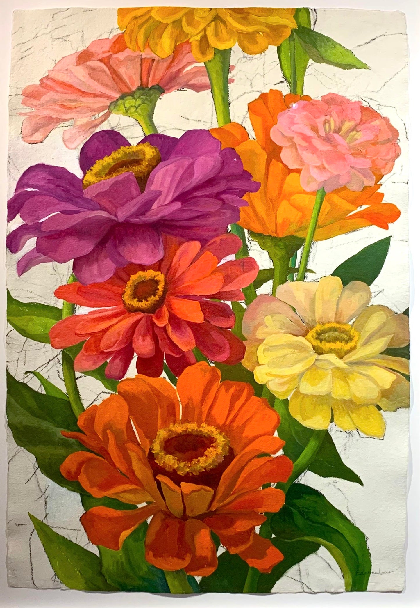 Rise of the Zinnias - Edwina Lucas