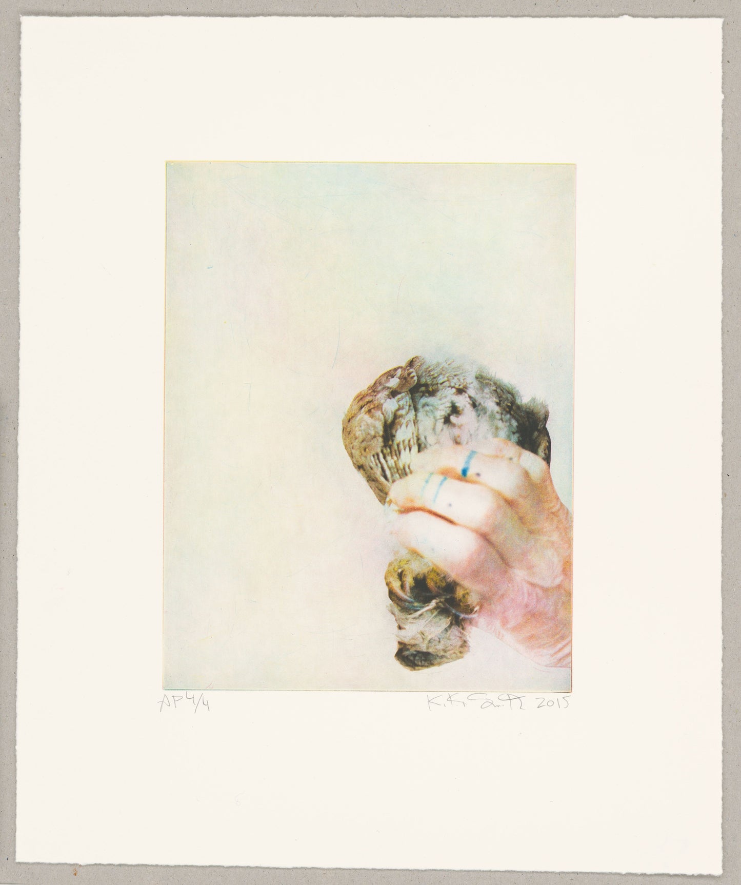 Sky - Kiki Smith