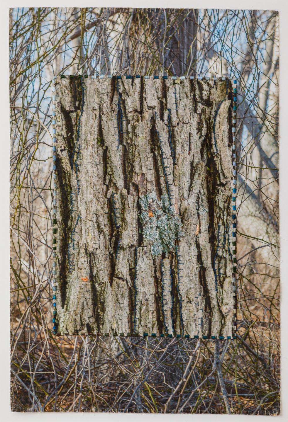 Tree/Sagaponack Ramble - Laurie Lambrecht