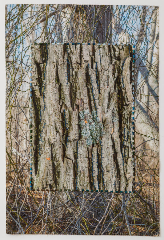 Tree/Sagaponack Ramble - Laurie Lambrecht